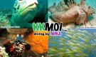 Great Diving at Mabul, Everyday!
