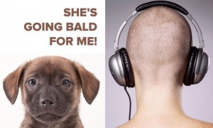 baldfeature