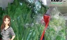 Little Shop in Likas Sells Organic Vegetables from Mesilau Farm