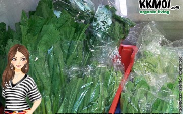 Little Shop in Likas Sells Organic Vegetables from Mesilau Farm Little Shop in Likas Sells Organic Vegetables from Mesilau Farm